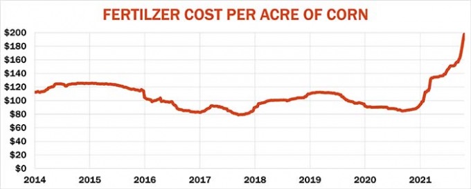 Chi phí phân bón cho 0,4 ha ngô tại Mỹ đã chạm ngưỡng 200 USD. Đồ họa: FP