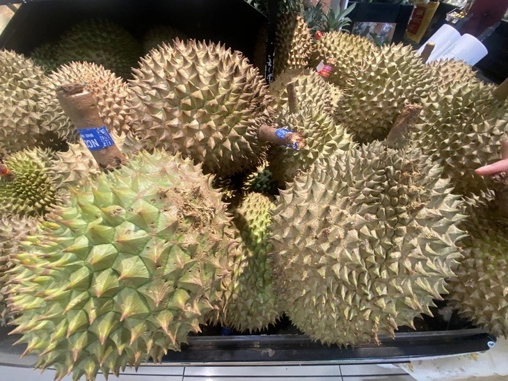 Sầu riêng được bày bán tại một siêu thị ở Hà Nội - Ảnh: C.TUỆ