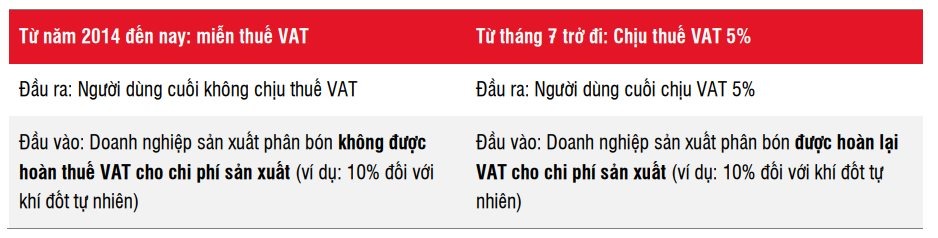 Áp thuế Giá trị gia tăng 5% cho phân bón: Điều gì sẽ xảy ra, doanh nghiệp nào hưởng lợi?- Ảnh 1.