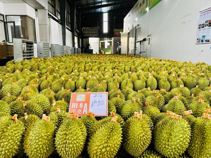 Xuất khẩu nhiều mặt hàng nông, lâm, thủy sản tăng mạnh, riêng gạo và rau quả giảm