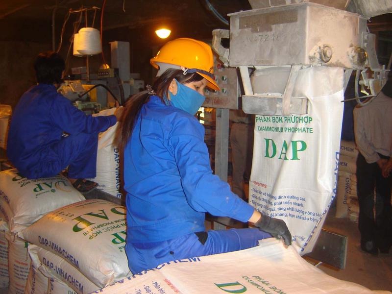 Hiệp hội phân bón Việt Nam lên tiếng về kiến nghị cadimi trong DAP nhập khẩu của Vinacam: Sớm giải quyết để gỡ khó cho sầu riêng xuất khẩu