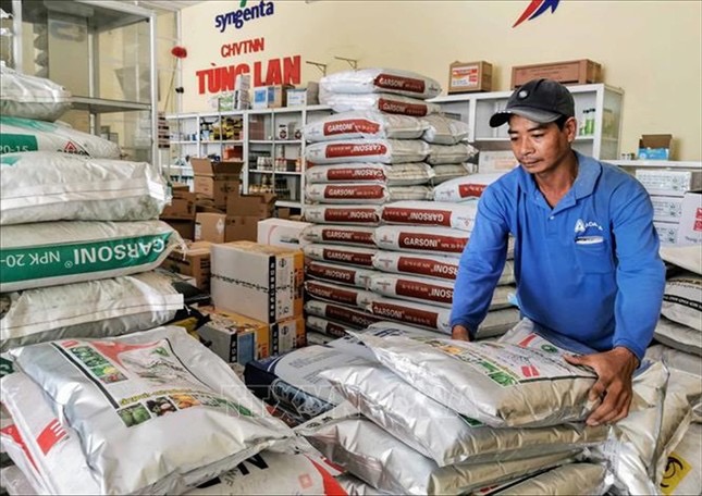 Đại phẫu 'vua' trái cây tỷ USD - Bài 1: Vì sao Cục Bảo vệ thực vật phớt lờ cảnh báo?