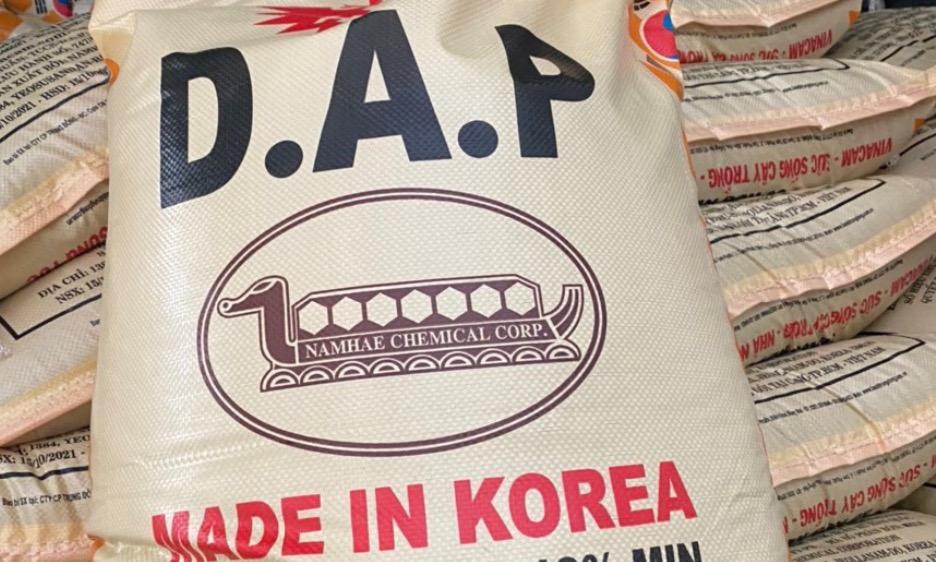 ĐÁP korea