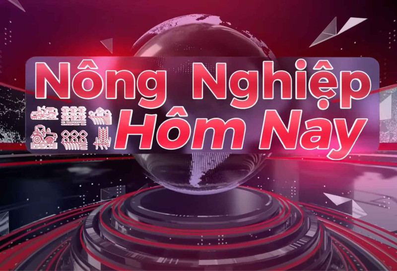 Cadimi trong Sầu riêng: Chuyên gia cảnh báo gì về mối đe dọa ‘âm thầm’ này?