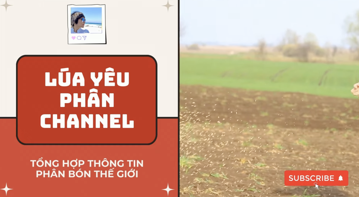 Phân bón thế giới 12/4/2025 khi tất cả đều tăng?