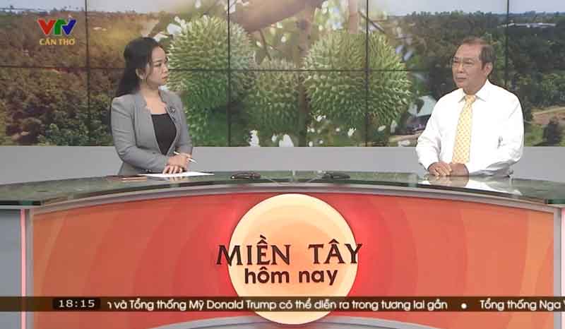 VTV Cần Thơ: Xuất khẩu sầu riêng lao dốc vì Cadimi