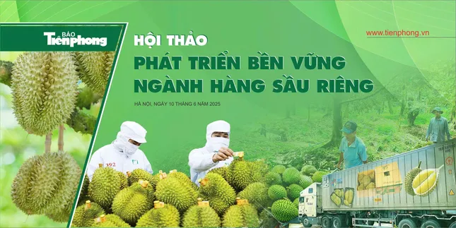 Khủng hoảng sầu riêng: 'Chúng ta đều có trách nhiệm'