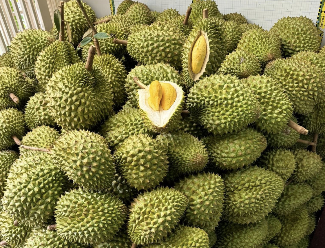 Sầu riêng bị Trung Quốc trả về, DN gửi thẳng lên Thủ tướng một chuyện bất thường