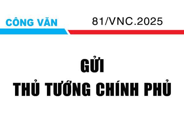 CV 81/VNC.2025 gửi thủ tướng chính phủ về việc xem xét xử lý thông tin Cadimium trong DAP
