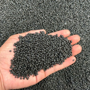 Giải tỏa nỗi lo sầu riêng nhiễm Cadimi