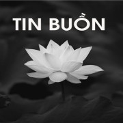 Vinacam kính báo tin buồn