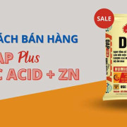 Chính sách bán hàng: DAP Plus Acid Humic + ZN