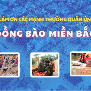 Thư cảm ơn: Các mạnh thường quân đã đồng hành cùng Vinacam cứu trợ Đồng bào miền Bắc bị ảnh hưởng bởi cơn bão số 3