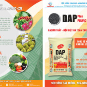 Giới thiệu sản phẩm DAP 18-46 Plus Humic+Fulvic acid and Zinc hàm lượng Cd thấp